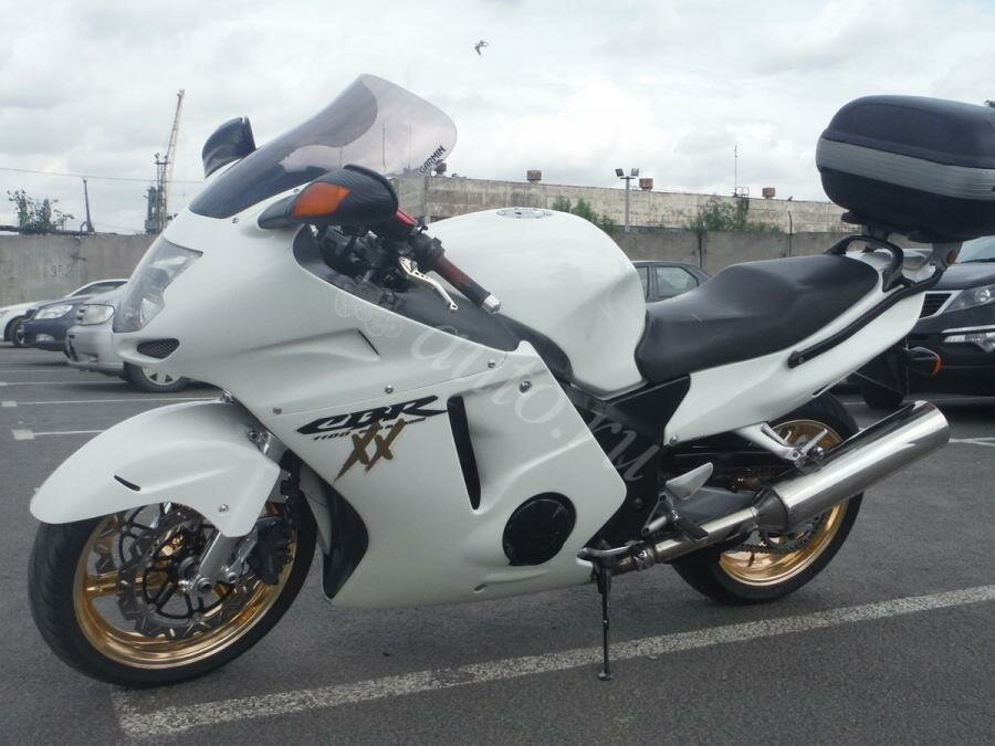 Обзор мотоцикла honda cbr 1100 xx (cbr1100xx blackbird)