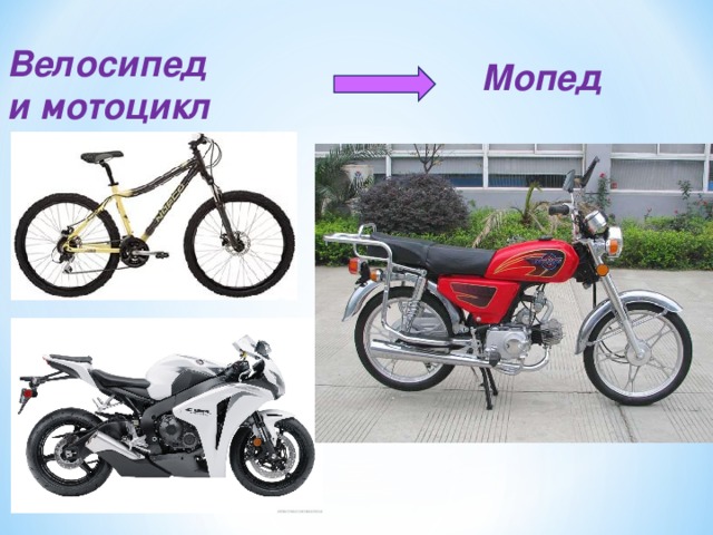 Чем отличается мопед от мотоцикла: особенности и отличия