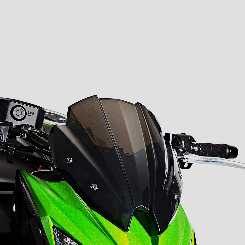 Обзор мотоцикла kawasaki z800 (z800e)
