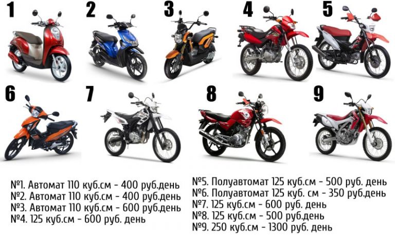 Разнообразие моделей Минск 125