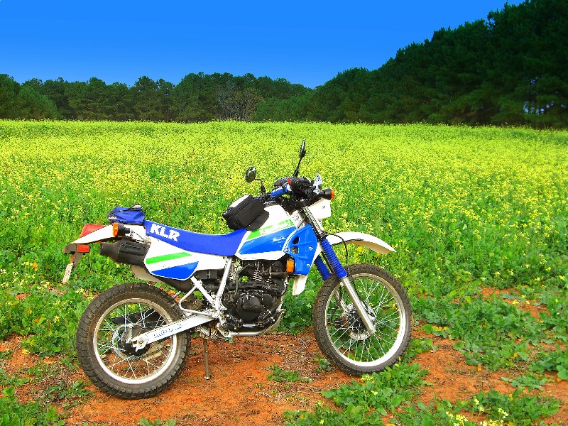 Kawasaki kle 250 anhelo — это туристический эндуро