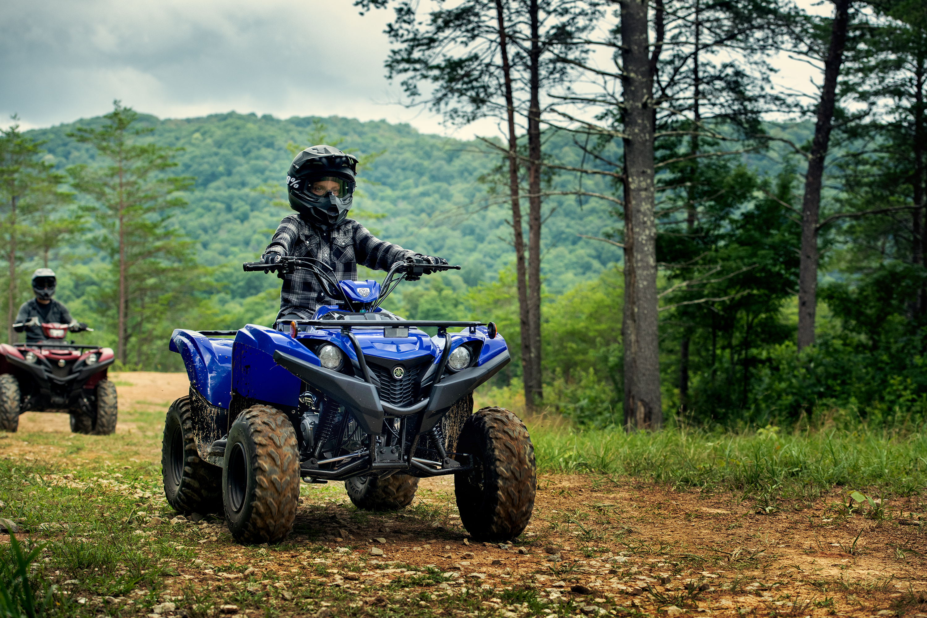 Фото квадроцикла. Ямаха Гризли 300. Квадроцикл Yamaha Grizzly 300. Ямаха Гризли 90. Yamaha Grizzly 1000.