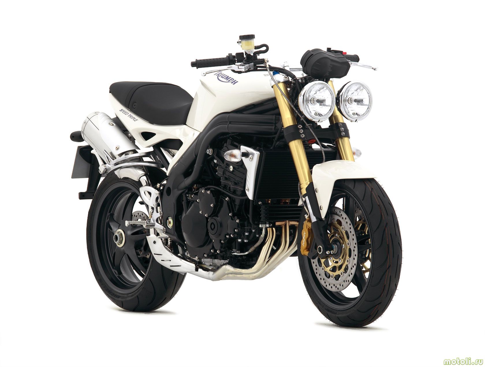 Мотоцикл Triumph Speed Triple Carbon Edition (2007)