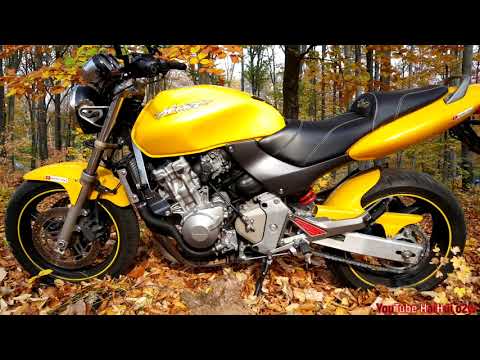 Мотоцикл honda hornet 600 2001: выявляем суть
