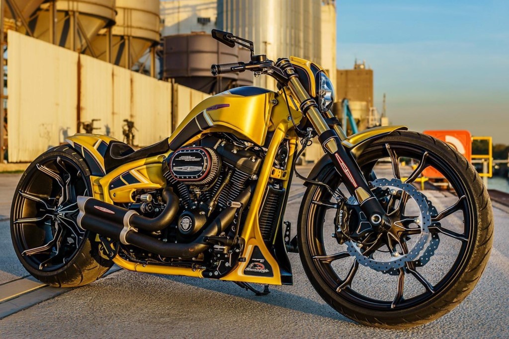 Harley-Davidson 1200 Custom