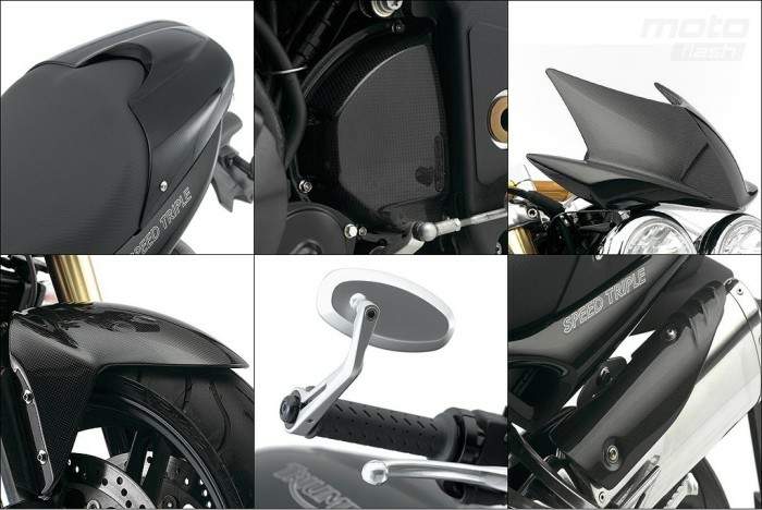 Мотоцикл Triumph Speed Triple Carbon Limited Edition (2009)