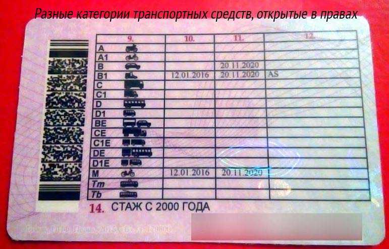 Курсы вождения мопеда в москве - автошкола категории m