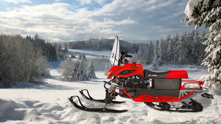 Снегоход динго т 150 технические характеристики - мотоснег