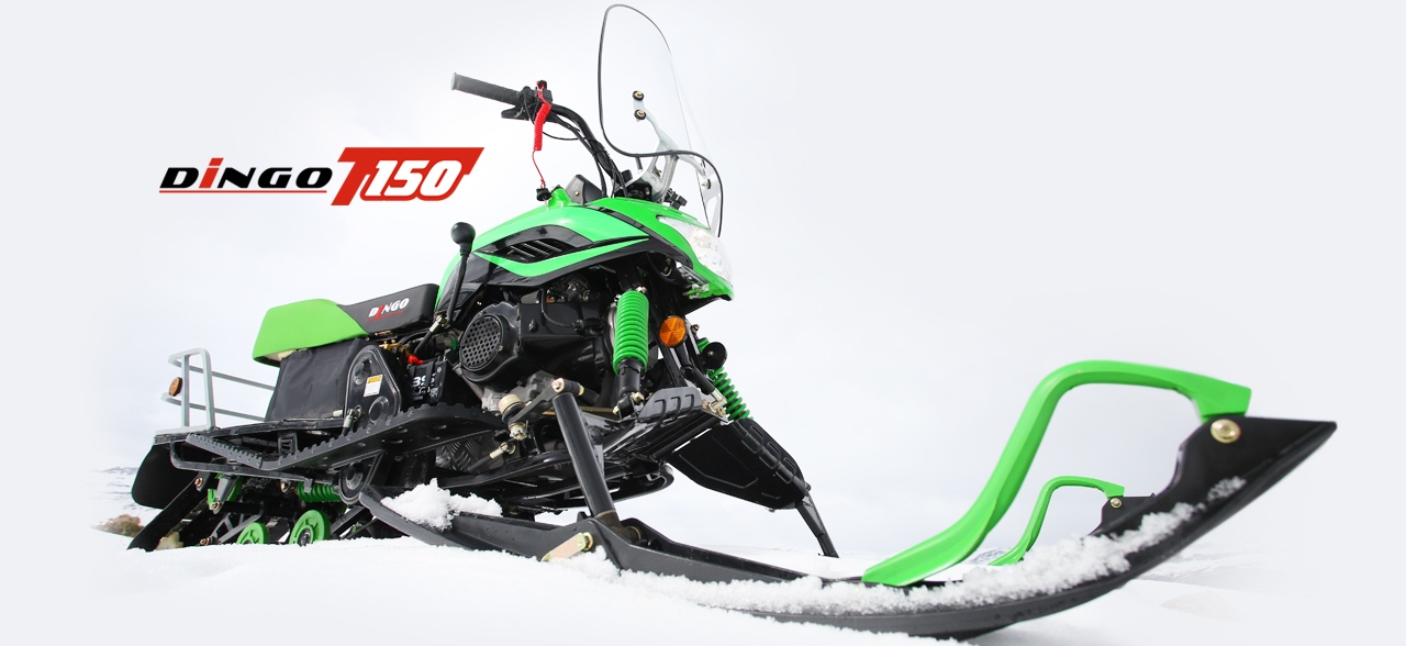 Динго 150 технические характеристики. снегоход t150 dingo