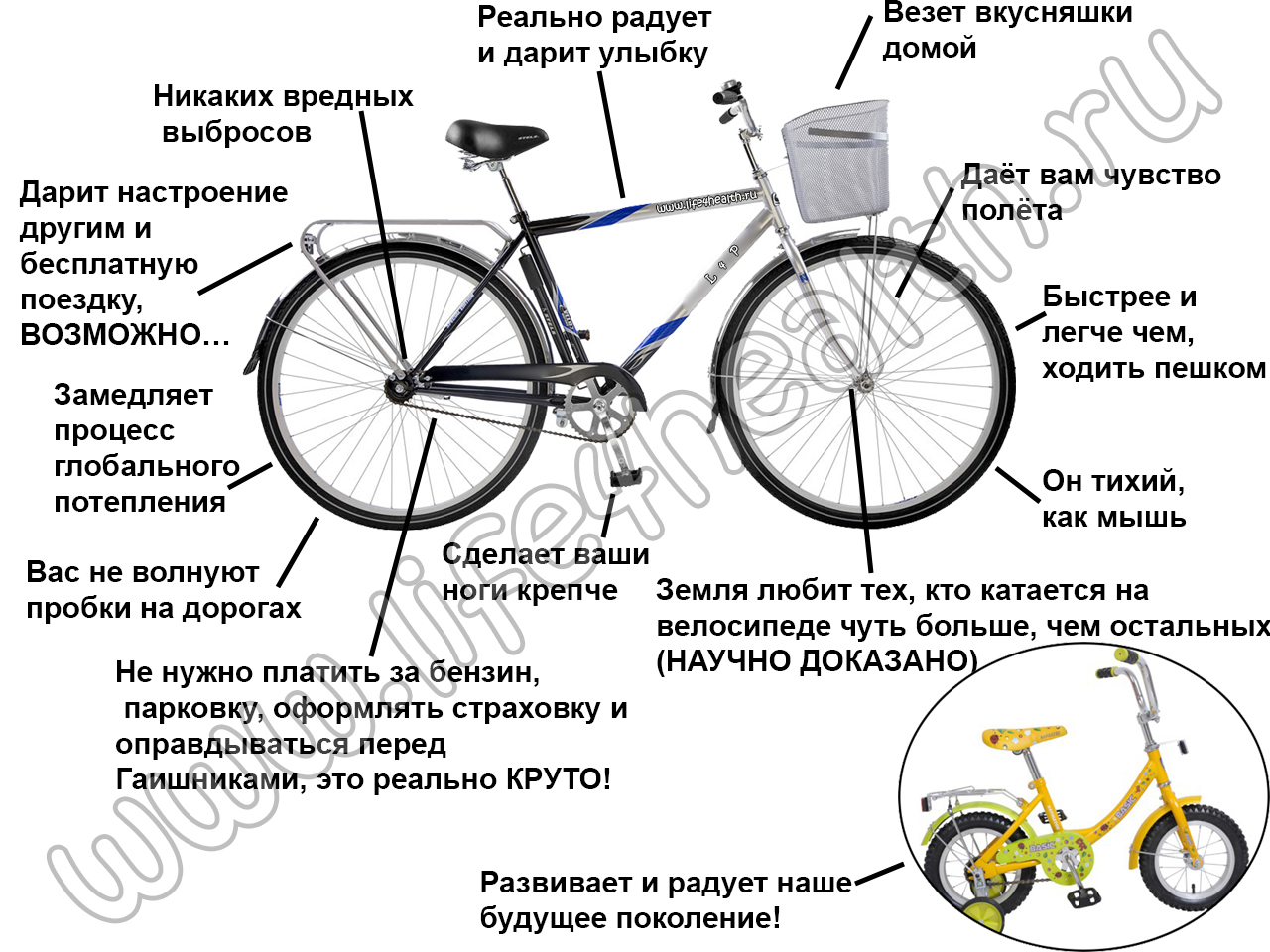 Как выбрать электровелосипед?