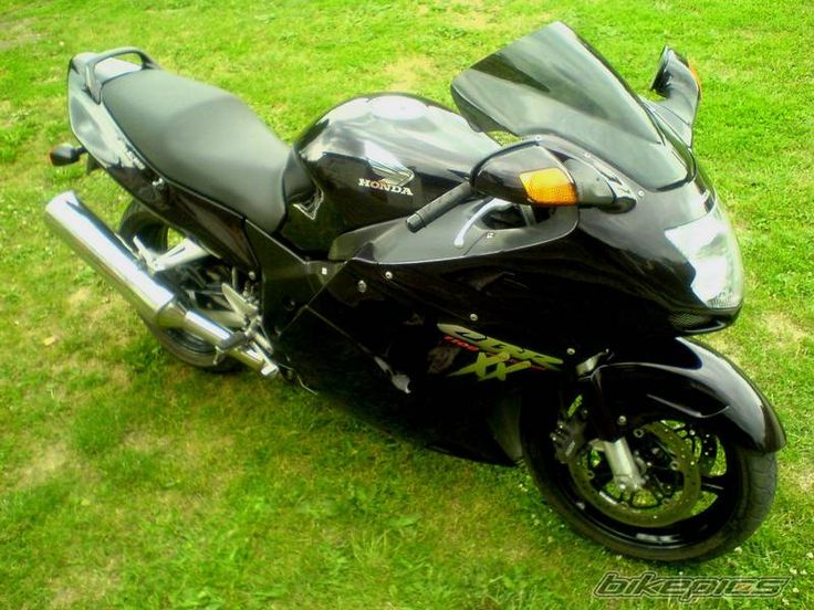 Мотоцикл honda cbr 1100 xx super blackbird: познавайте с нами