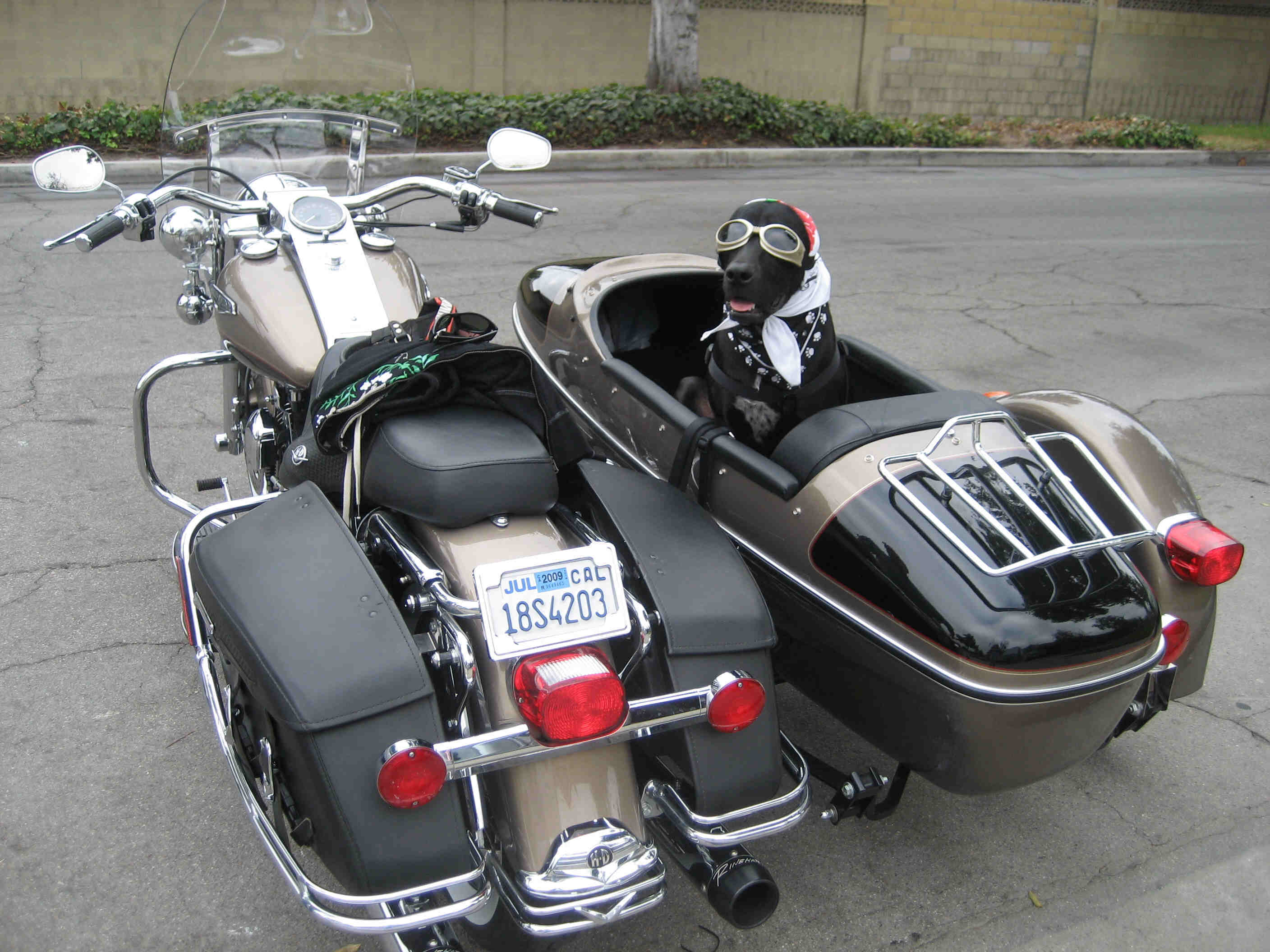 Мотоциклы с коляской