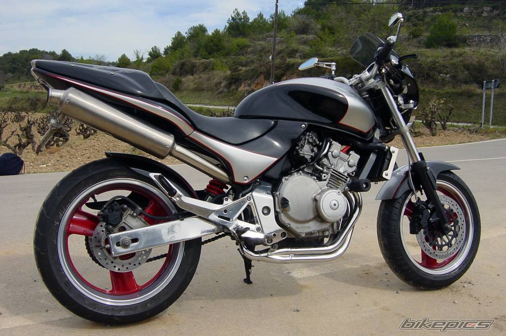 Обзор мотоцикла honda hornet 250 (cb 250 f)
