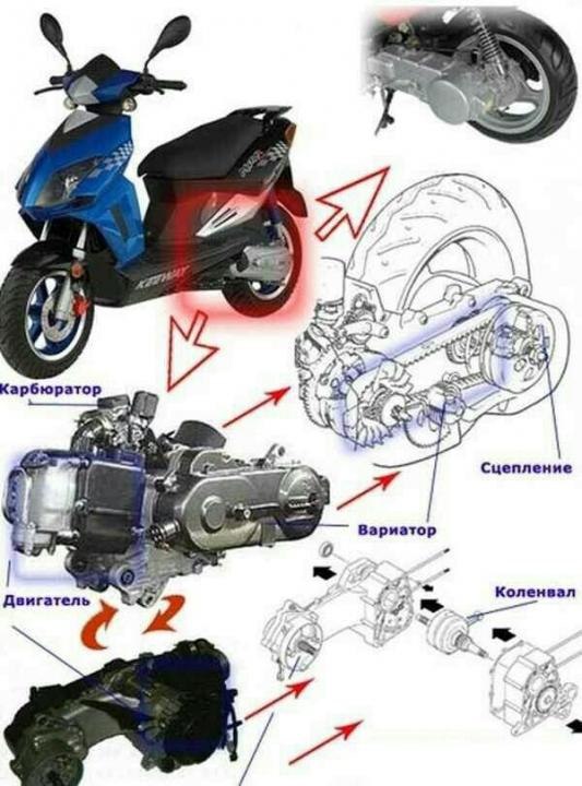 Как узнать тип двигателя на скутере
