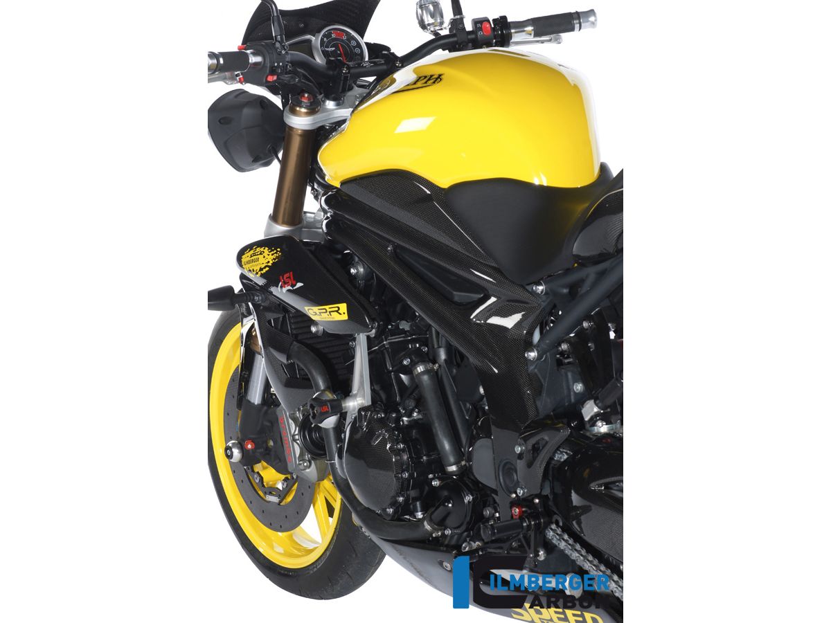 Мотоцикл Triumph Speed Triple Carbon Limited Edition (2009)