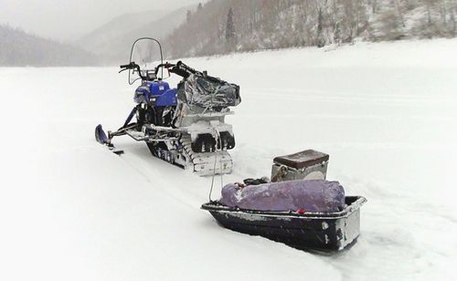 Снегоход irbis dingo t200 технические характеристики, отзывы, размеры, цена, фото, видео