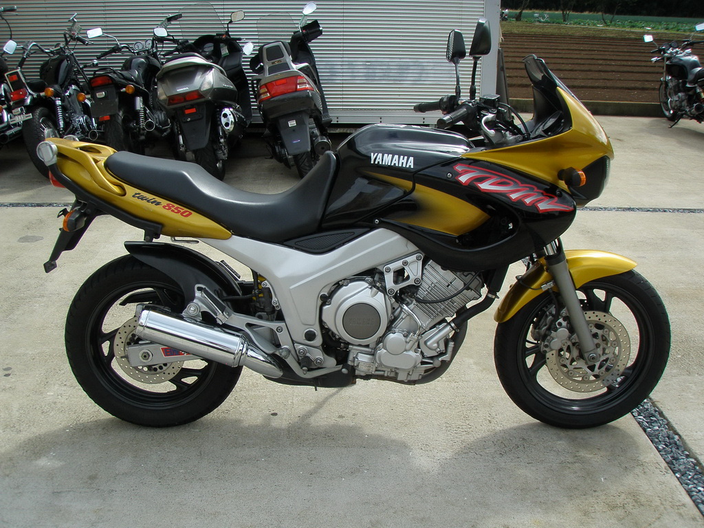 Yamaha TDM 850: выносливость и адреналин.